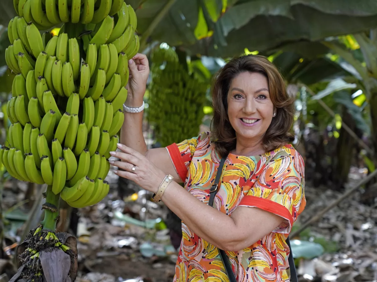 JMH TENERIFE 01 scaled 2