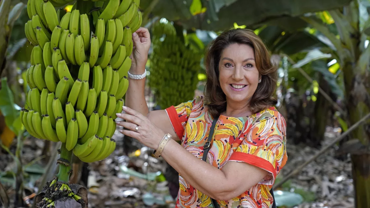 JMH TENERIFE 01 scaled 2